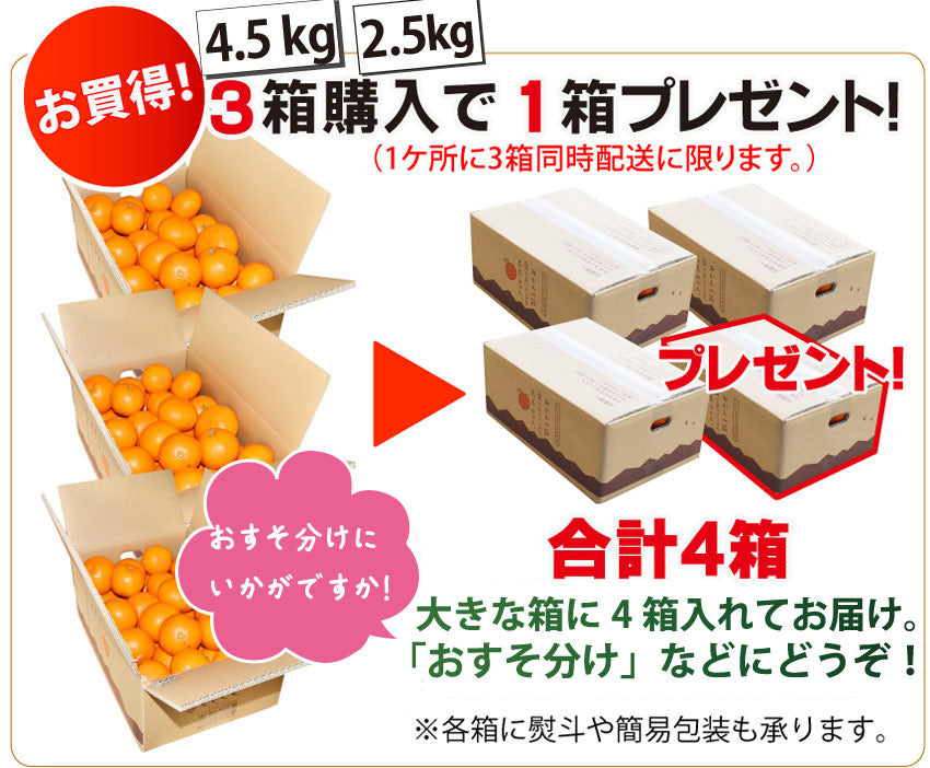 ★やさし～い甘さの希少なミカン★女性に人気！トマトみかん（品種：盛田温州）