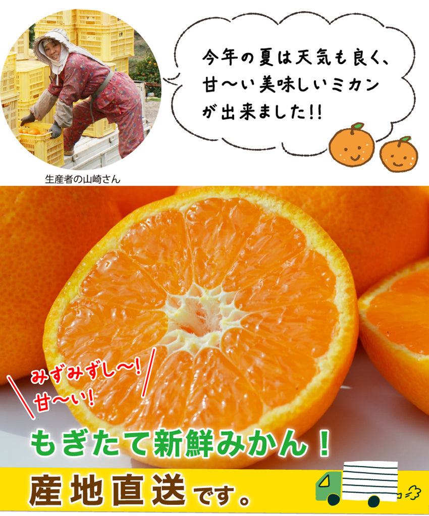 ◆化粧箱入 ギフト用◆おくりもの旬のミカン 3ｋｇ（大きめ/小さめ選べます）