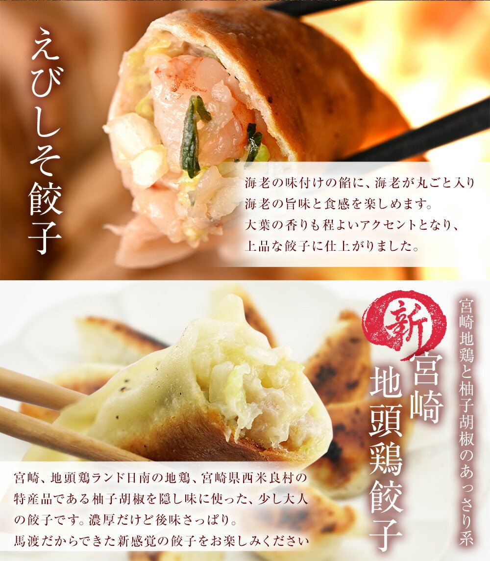 馬渡の食べくらべ4種セット （もっちり餃子10個 えびしそ餃子10個 くろぶた餃子10個 宮崎地頭鶏餃子10個 ）|【送料無料】ギフト