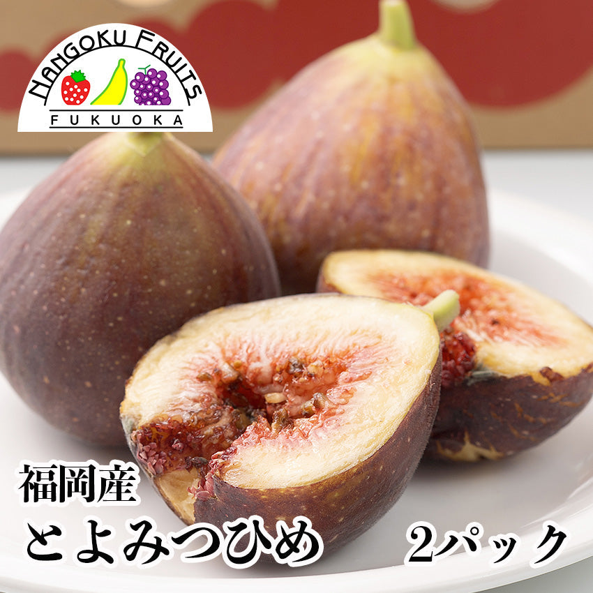 福岡県限定生産　とよみつひめ