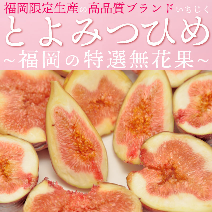 福岡県限定生産　とよみつひめ