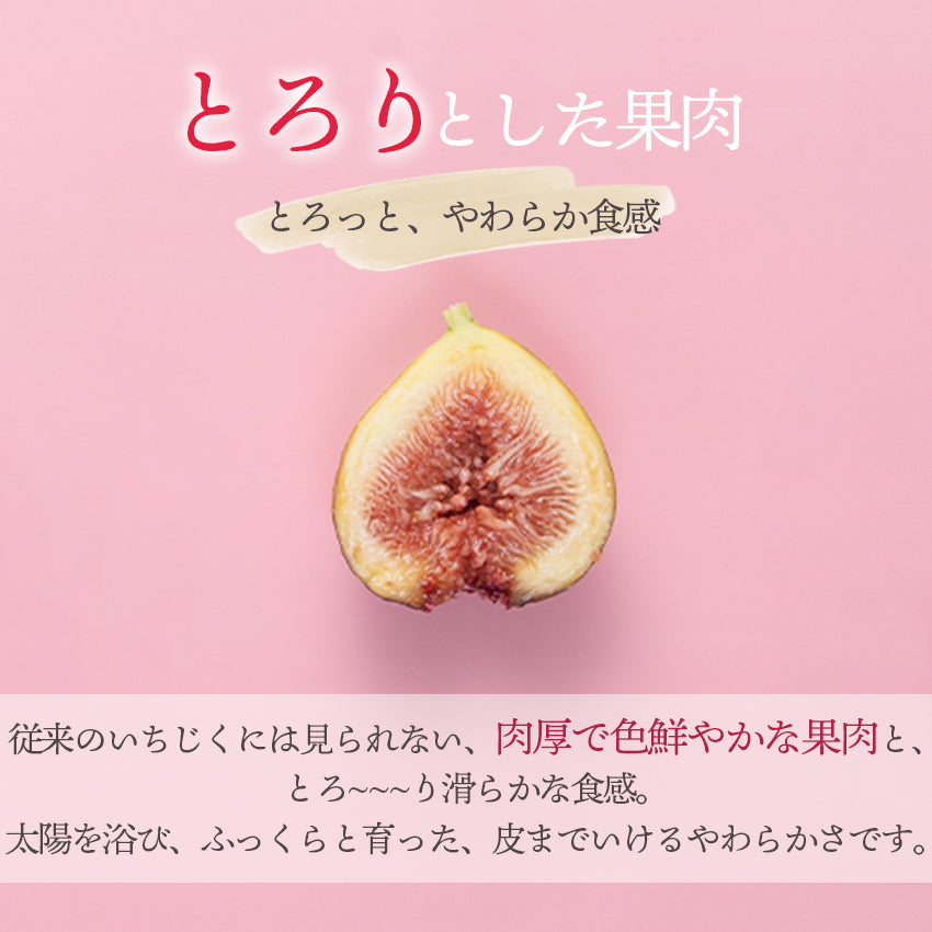福岡県限定生産　とよみつひめ