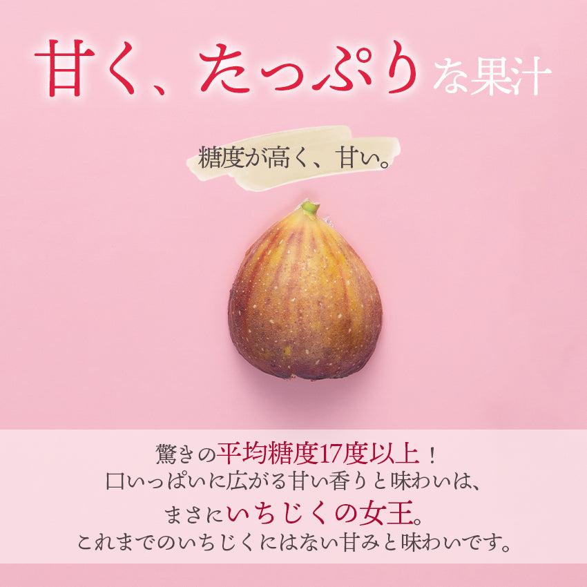 福岡県限定生産　とよみつひめ