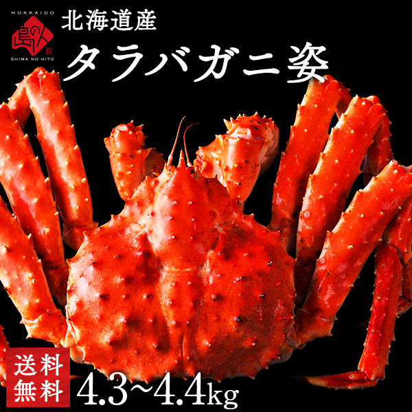 【希少】北海道 利尻島産 タラバガニ（姿）4.0kg～【送料無料】【数量限定】グルメ かに カニ 蟹 タラバガニ タラバ蟹 タラバ 【島の人】【お取り寄せグルメ】