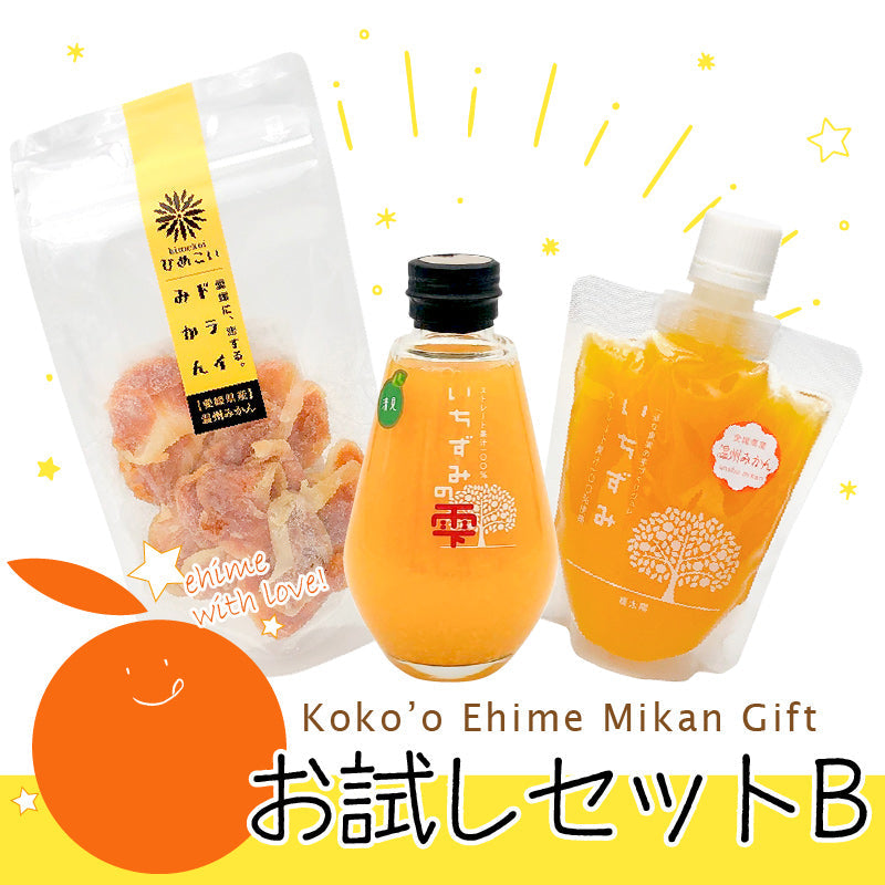 ★Koko'o(ココオ)農園お試しセットB★　※簡易BOXでお届け