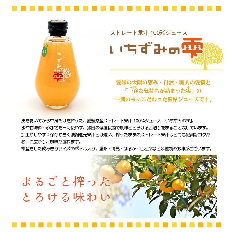★Koko'o(ココオ)農園お試しセットB★　※簡易BOXでお届け