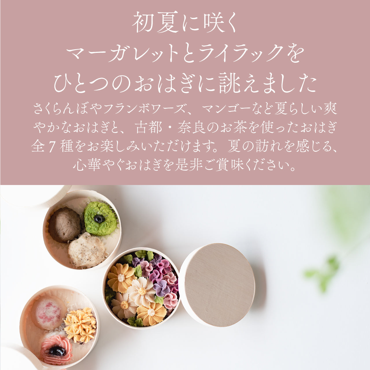 ＜うめとおはぎ＞花便りーマーガレットとライラック　おはぎ7種7個