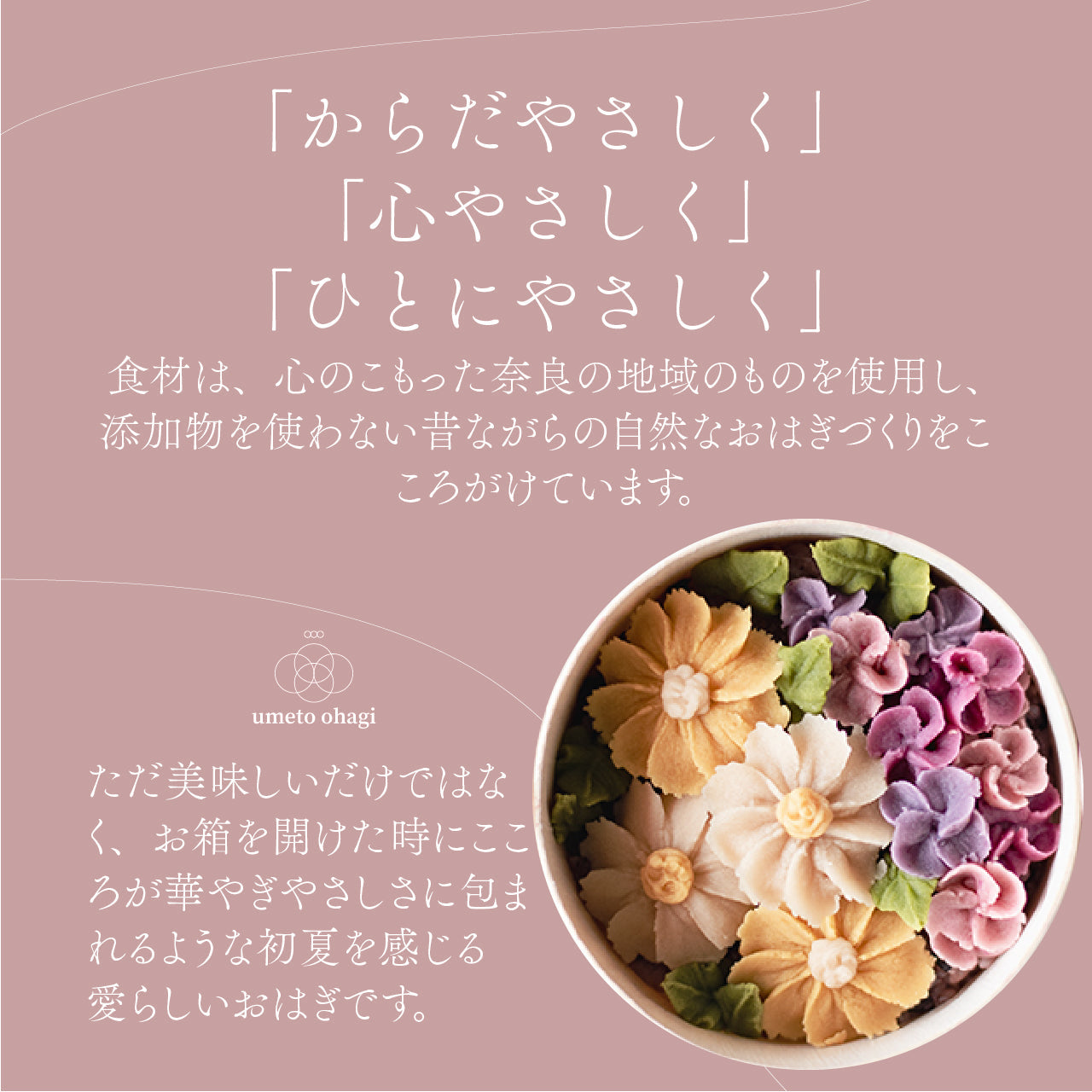 ＜うめとおはぎ＞花便りーマーガレットとライラック　おはぎ7種7個