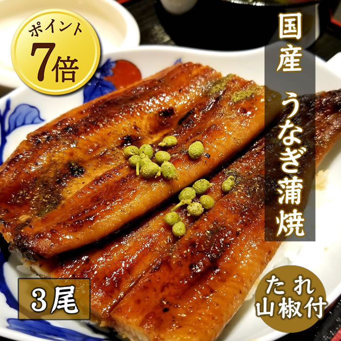 【5月7~13日ポイント7倍】【父の日】【国産】うなぎ蒲焼（タレ・山椒付） 3～5枚セット　送料無料（※沖縄・離島は別途）