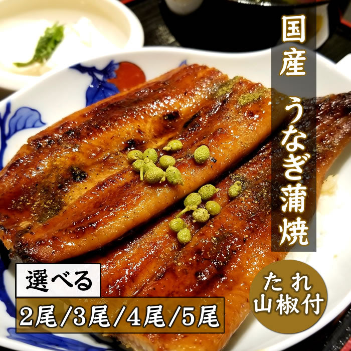 【厳選・国産】うなぎ蒲焼（タレ・山椒付） 1～5枚セット　送料無料 九州産