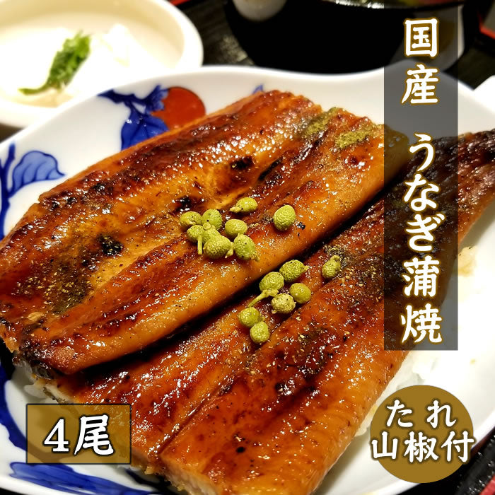 【厳選・国産】うなぎ蒲焼（タレ・山椒付） 1～5枚セット　送料無料 九州産