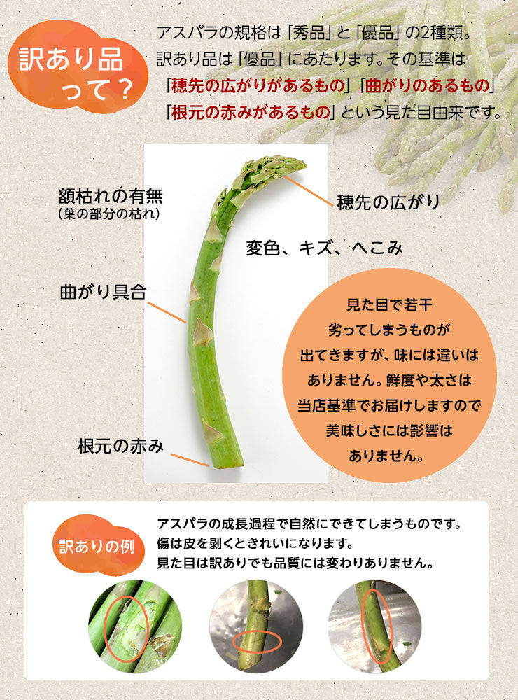 アスパラ 北海道 富良野産 グリーンアスパラガス サイズ混 (露地栽培) 訳あり【産地直送】【送料無料】