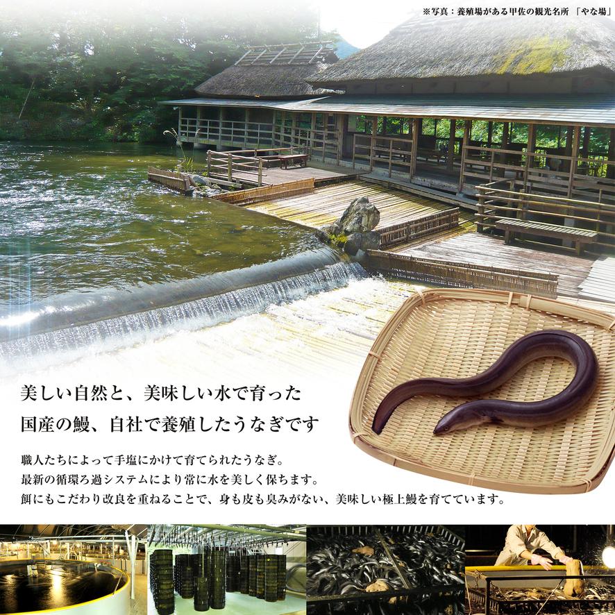 鰻屋が作った、国産鰻入りミニおにぎり (小さい50g) 8個ギフト