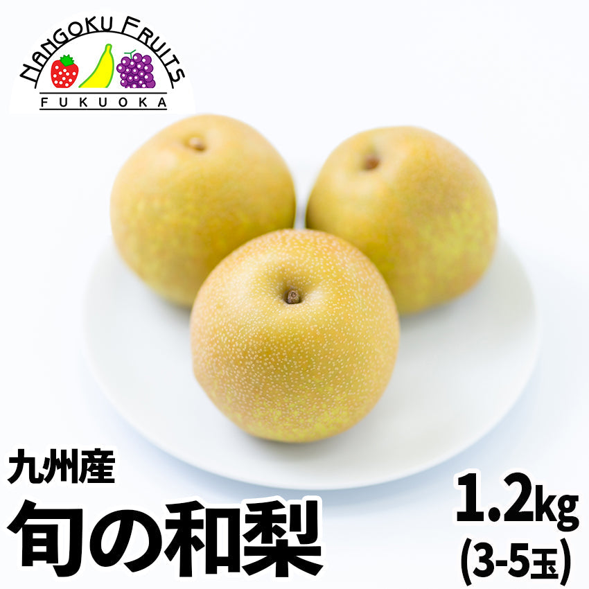 九州産　旬の和梨