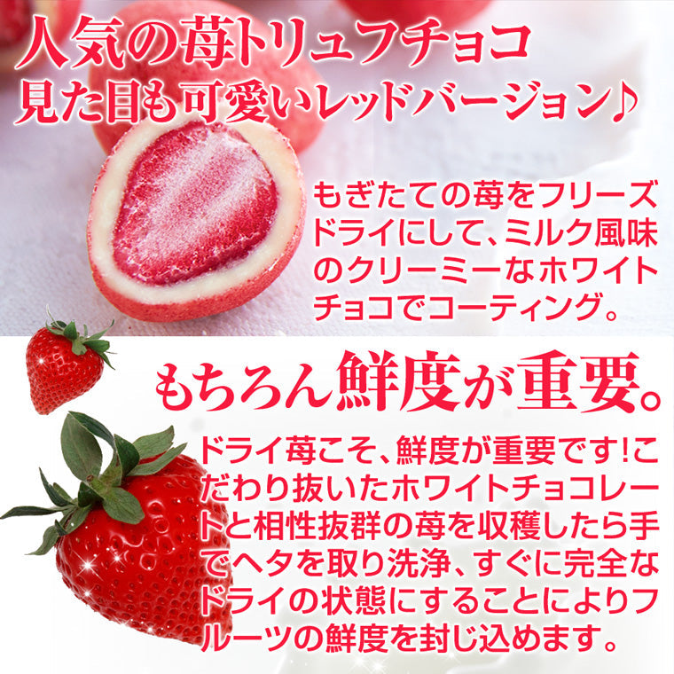 ＼ネット 通販 限定 パッケージ／ 神戸セレブショコラ 母の日 スイーツ ギフト 洋菓子 お菓子 チョコレート 苺 御礼 内祝い プレゼント