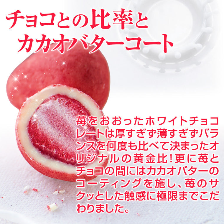 ＼ネット 通販 限定 パッケージ／ 神戸セレブショコラ 母の日 スイーツ ギフト 洋菓子 お菓子 チョコレート 苺 御礼 内祝い プレゼント