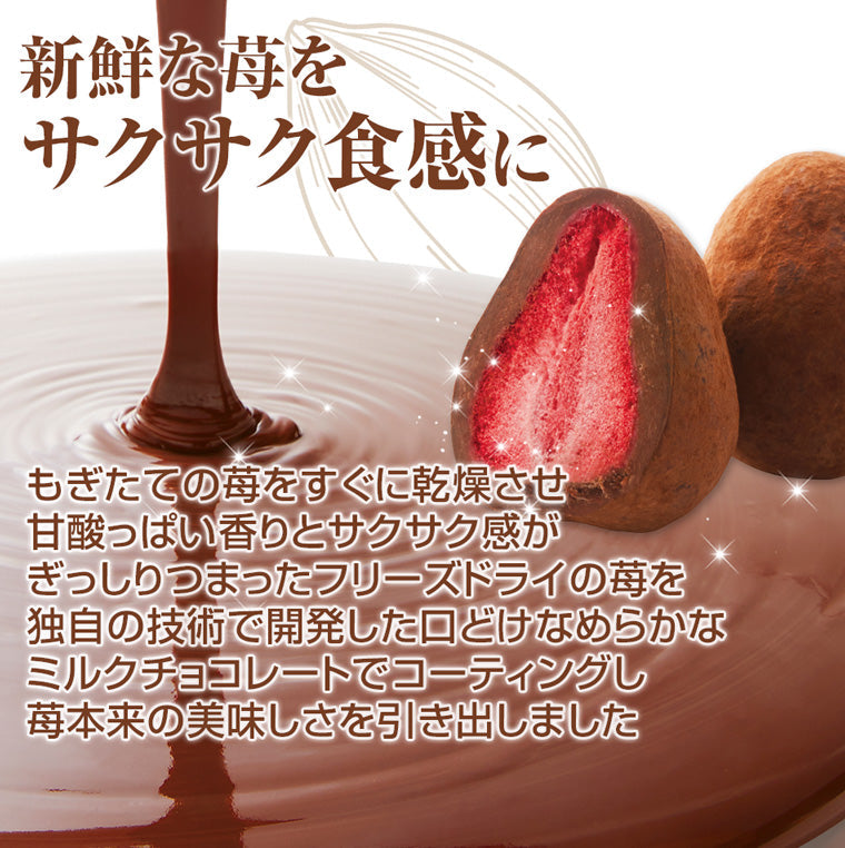 【送料込み】 神戸苺トリュフ(R)・カカオ 御歳暮 お歳暮 冬ギフト クリスマス スイーツ ギフト 洋菓子 お菓子 チョコレート 御礼 内祝い プレゼント