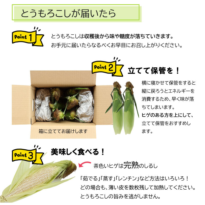 岩手の農家直送　真っ赤なとうもろこし　大和ルージュ　6本・8本【冷蔵・送料込】