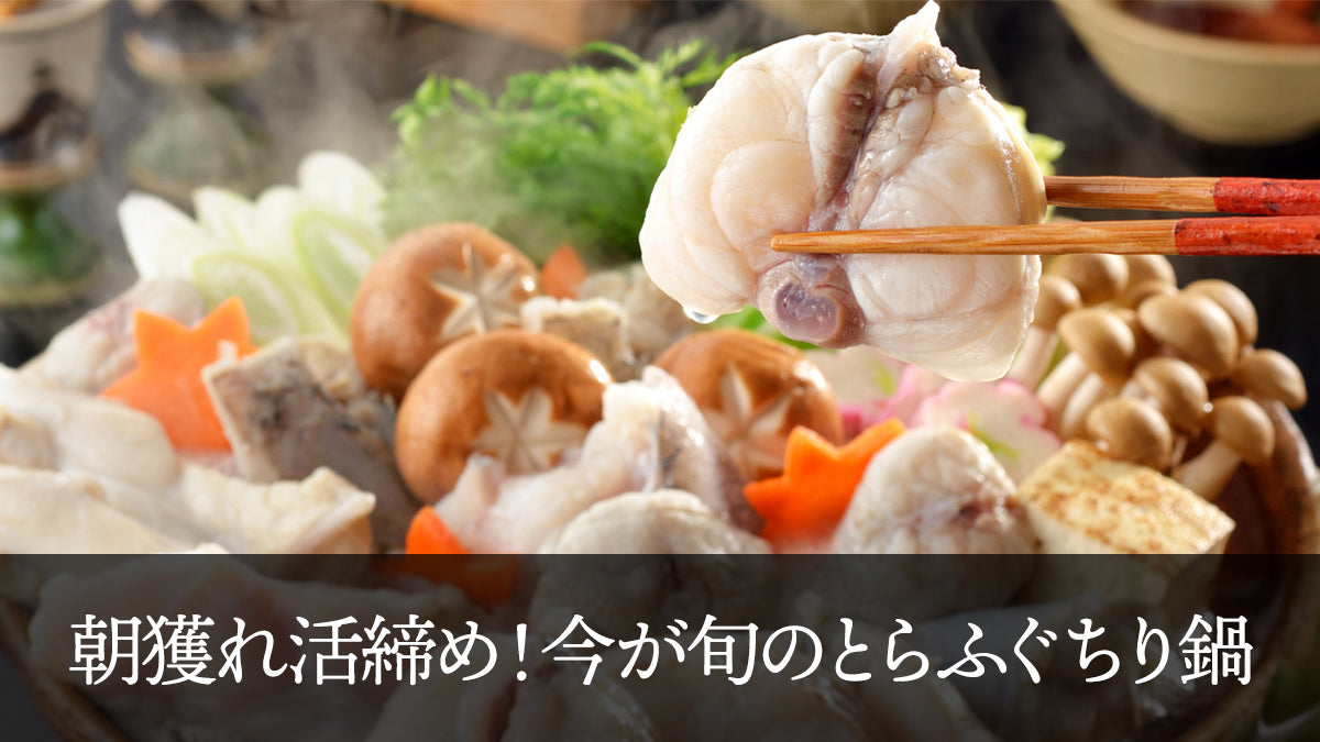 朝獲れ活締め！今が旬のとらふぐちり鍋