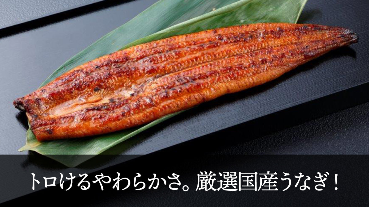 【送料無料】鹿児島県産うなぎ長蒲焼　３尾セット