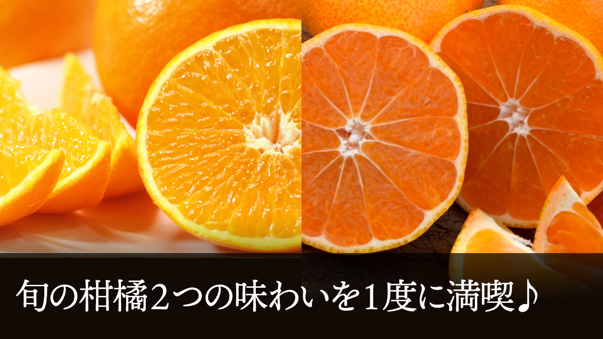 旬の柑橘２つの味わいを１度に満喫♪