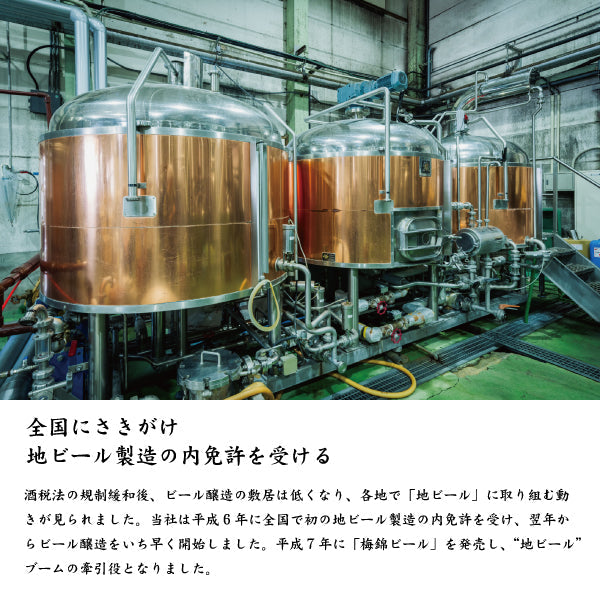 愛媛地ビールセット】梅錦ビール 6種類セット[みきゃんラベル