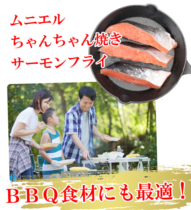 【送料無料】北海道産 一塩鮭 切身セット 5切入×3袋 無添加  海鮮問屋 見田元七商店