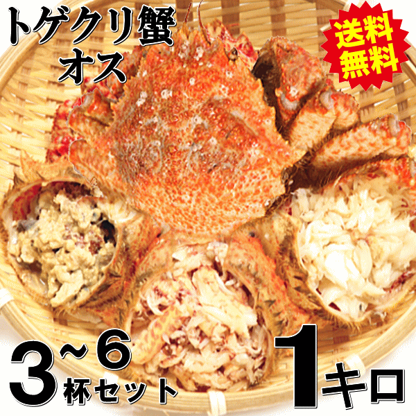 青森の毛蟹 トゲクリ蟹 オス 1キロ 約3杯～6杯 送料無料【トゲクリガニ 毛蟹 トゲクリカニ】