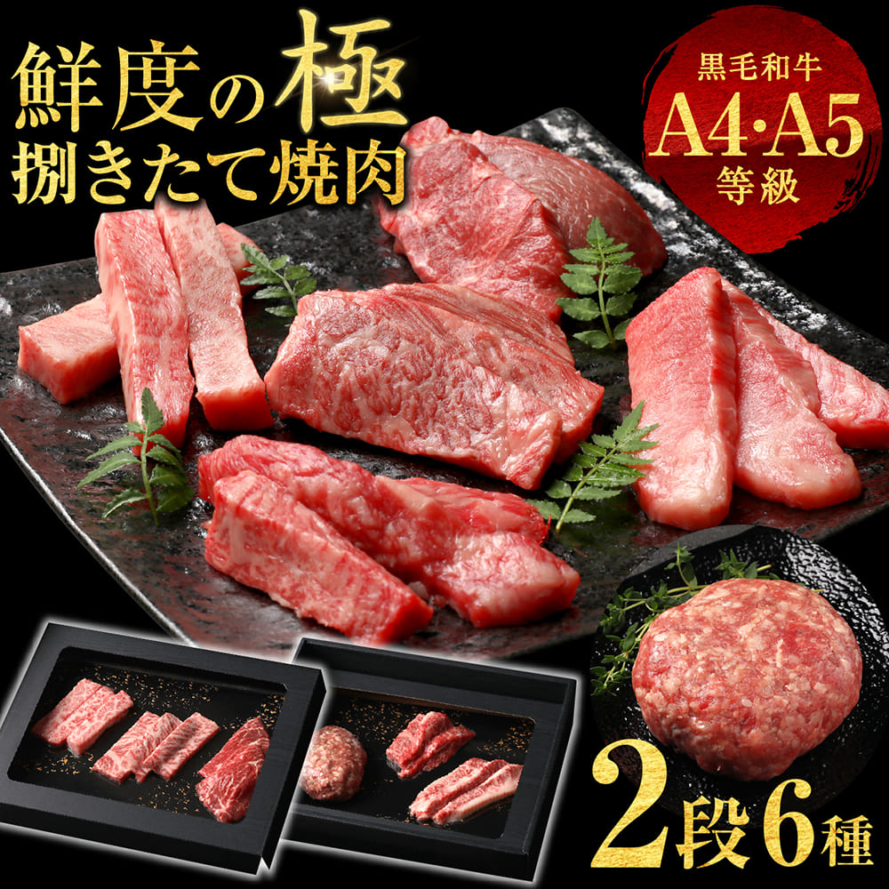 母の日 父の日 6種2段　豪華絢爛(けんらん) 焼肉ギフト 霜降り 牛肉 黒毛和牛 ギフト 贅沢 国産 黒毛 和牛 祝い グルメ 誕生日 焼肉 セット 牛 内祝 真空密封包装