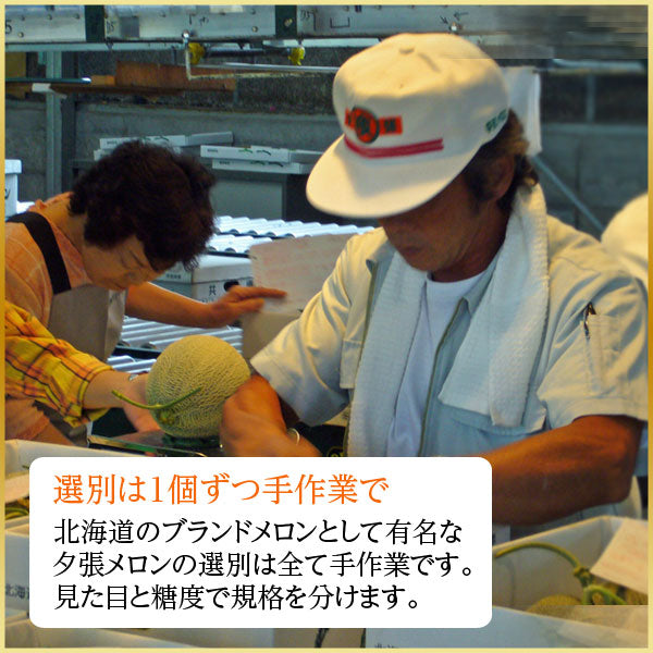 北海道 夕張メロン メロン 共撰 優品 送料無料 産地直送 赤肉メロン グルメ フルーツ 果物 食品 景品 ブランドメロン