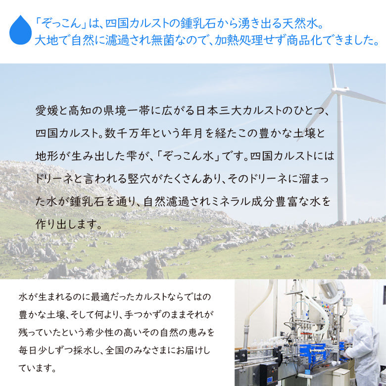 【送料無料】四国カルスト天然水　ぞっこん 500ml × 48 本 [2ケース]