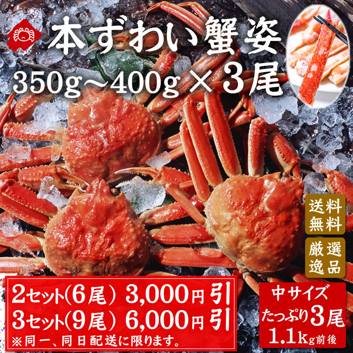 本ずわい蟹 姿 ボイル350～400ｇ×3尾  数量限定 ２セットで3,000円引 3セットで6,000円引（同一、同日発送に限ります）（送料無料※沖縄は別途）
