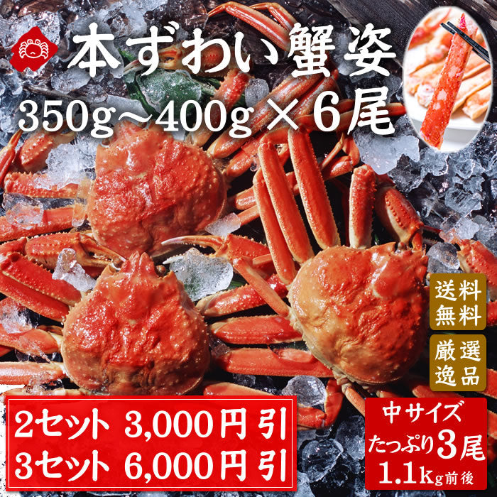 本ずわい蟹 姿 ボイル350～400ｇ×3尾  数量限定 ２セットで3,000円引 3セットで6,000円引（同一、同日発送に限ります）（送料無料※沖縄は別途）