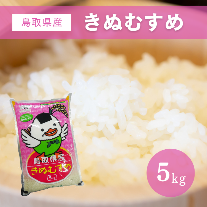 鳥取県産米　きぬむすめ　精米5kg