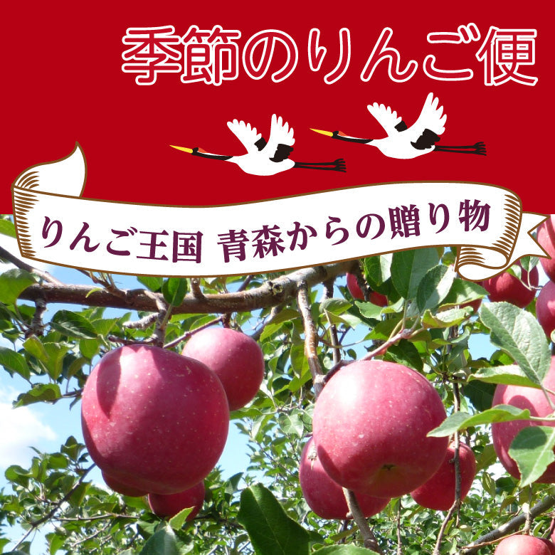 青森県産　「季節のりんご」　訳ありバラ詰め　７ｋｇ前後【フルーツ】【送料込み】