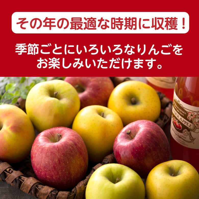青森県産　「季節のりんご」　訳ありバラ詰め　７ｋｇ前後【フルーツ】【送料込み】