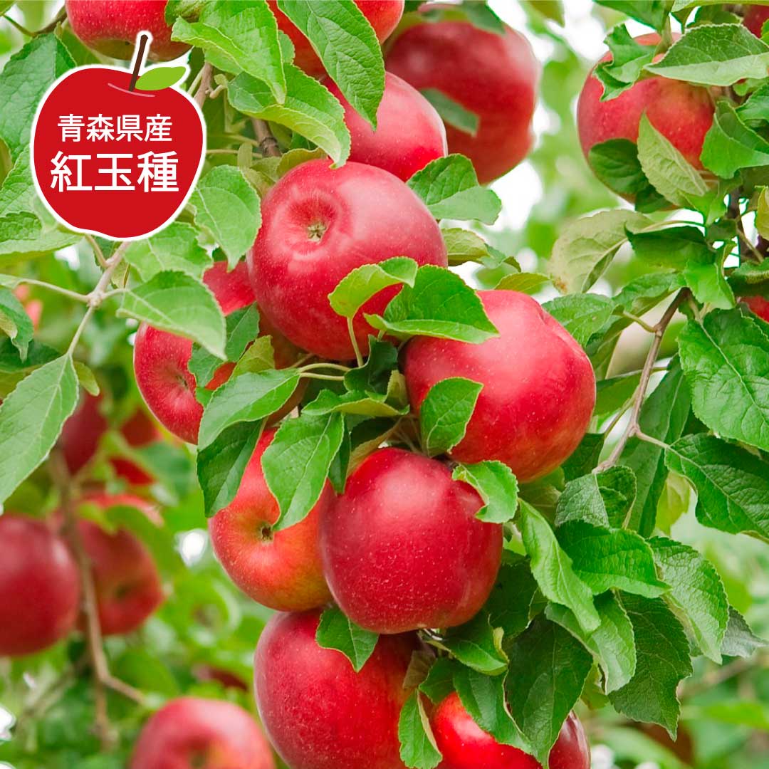 【京都・バイカル】幸せのつむぎパイ～りんご～