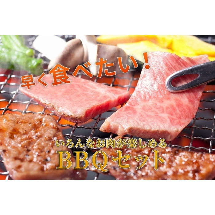 【旨み成分たっぷりのヘルシー和牛入り】 オリーブ牛 / 焼肉・バーベキューセット (オール国産5種盛り)  / 4人前