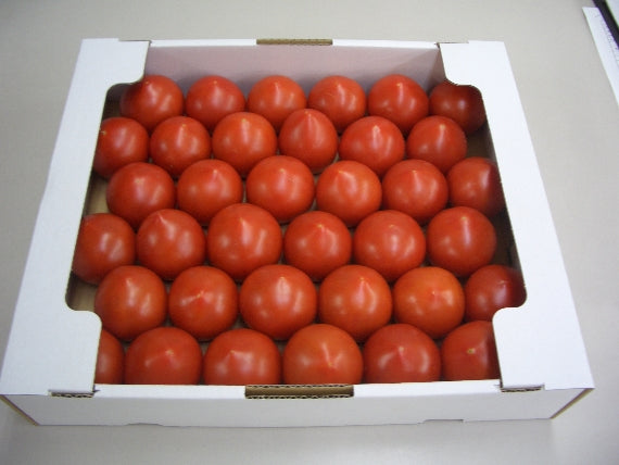 [真紅の宝石] 越のルビートマト 2Kg バラケース