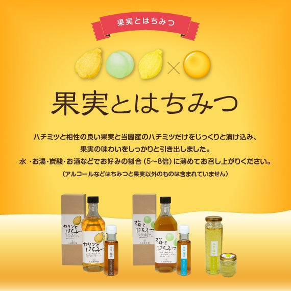 果実とはちみつ「梅とはちみつ」 ミニ（100ml）