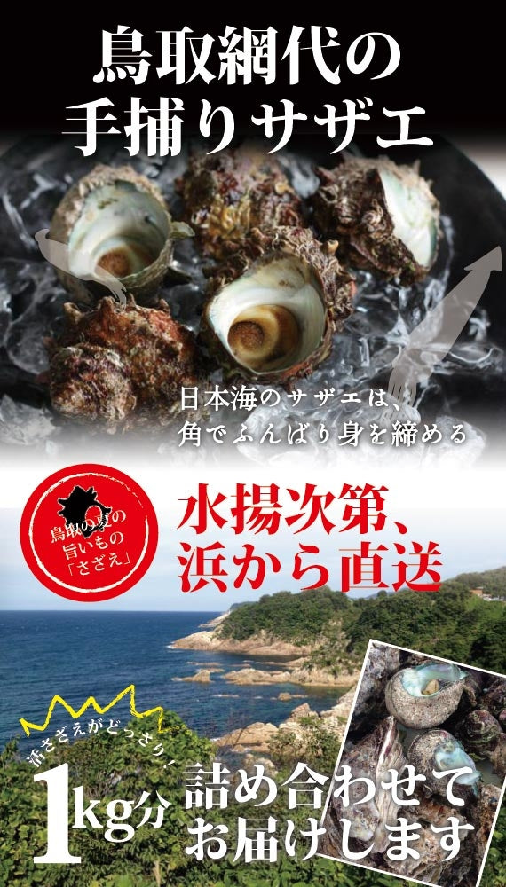 【天然の活けサザエ】漁師が素潜りで獲った本物のさざえ　約1kg（約5~8個）