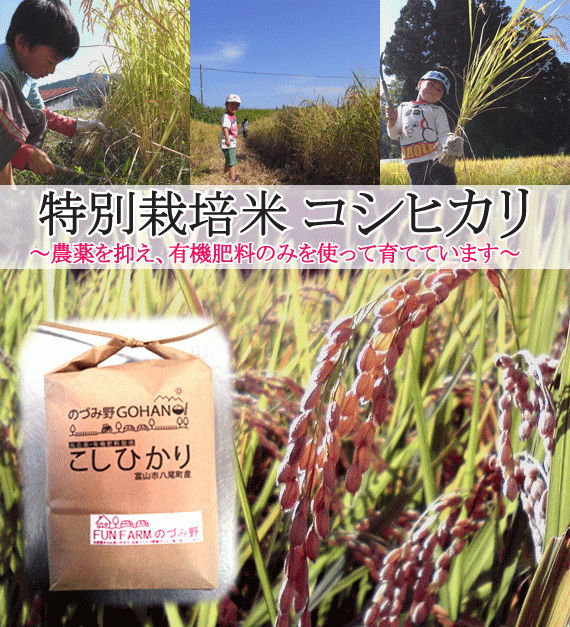 【送料無料】【2023年産】越中八尾のづみ野 特別栽培米（富山県産コシヒカリ）5kg