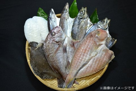 無添加・天日干し【愛媛八幡浜産】ピチピチ朝獲れ鮮魚の一夜干し８枚セット