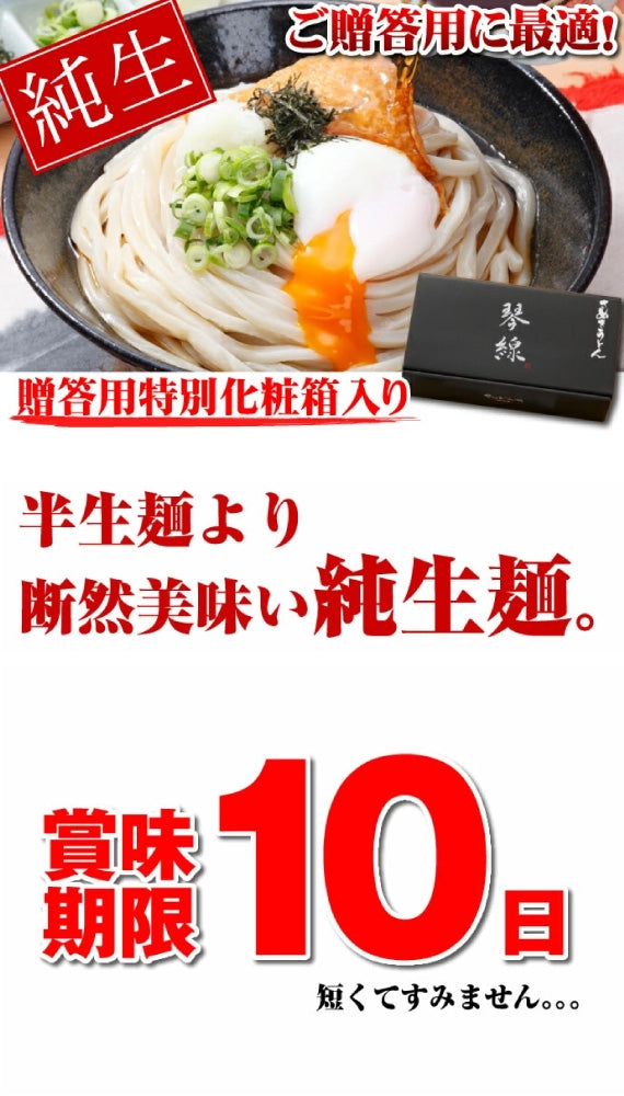 「琴線」本場讃岐うどん うちたて純生さぬきうどんセット（8人前）つゆ付【送料無料】贈答用特別化粧箱入り