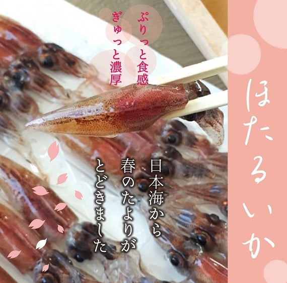 ホタルイカ　お刺身OK!　【冷凍パック】