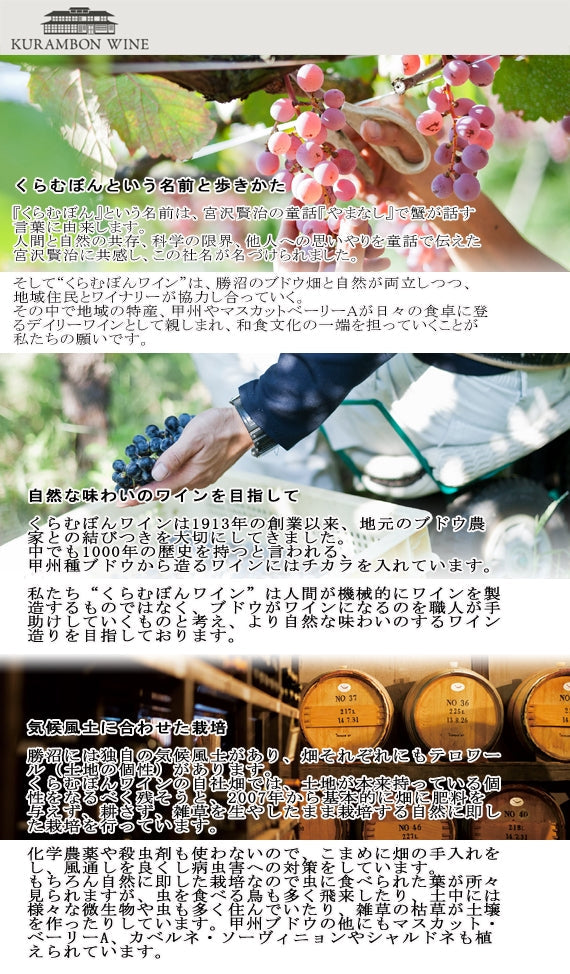 【くらむぼんワイン】蔵 赤 2020・720ml