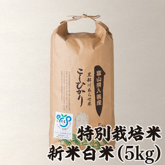 【米】令和5年度　黒部川あらせ米5キロ（コシヒカリ）　特別栽培米　農事組合法人源