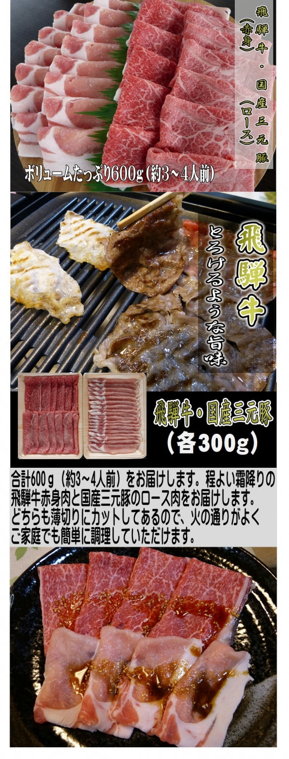 飛騨牛・国産豚三元豚　薄切りセット【精肉・肉加工品】