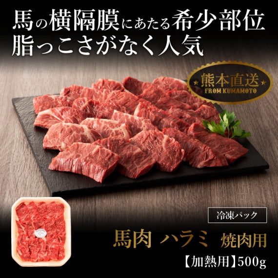 【加熱用】馬肉 ハラミ 焼肉用 500g 3～4人前【賞味期限冷凍30日】【精肉・肉加工品】