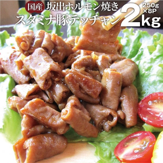 坂出ホルモン焼き スタミナ 国産 豚テッチャン 1kg (250g×4P) 焼肉 BBQ ホルモン焼き グルメ もつ キャンプ キャンプ飯＊送料無料